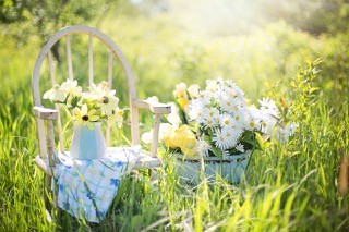 coaching_i_tradgarden